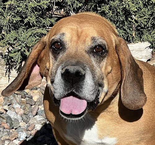 MYSTICAL MS MINDI = SWEET CUDDLER !