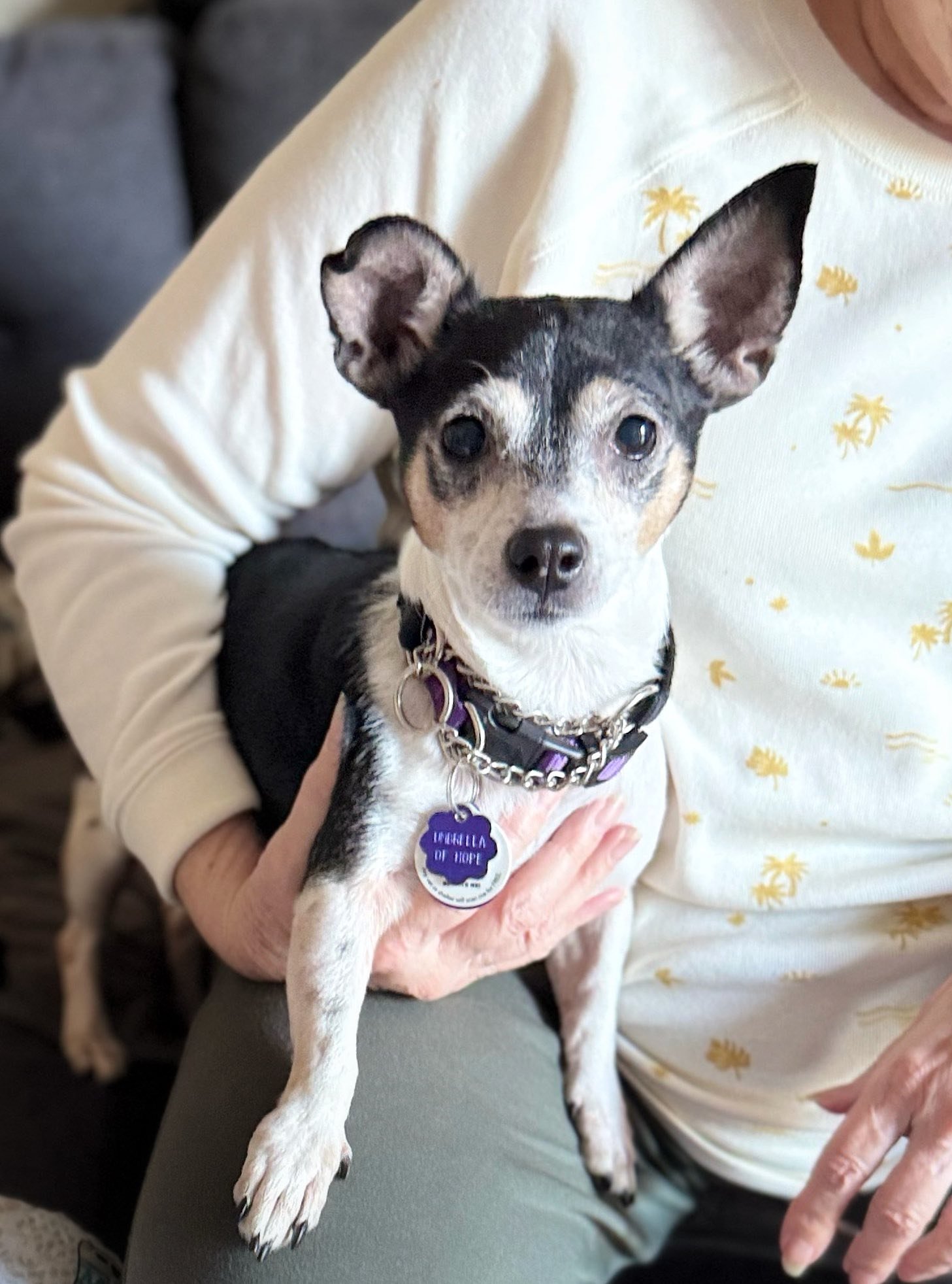 Nula Egypt - Photo 3