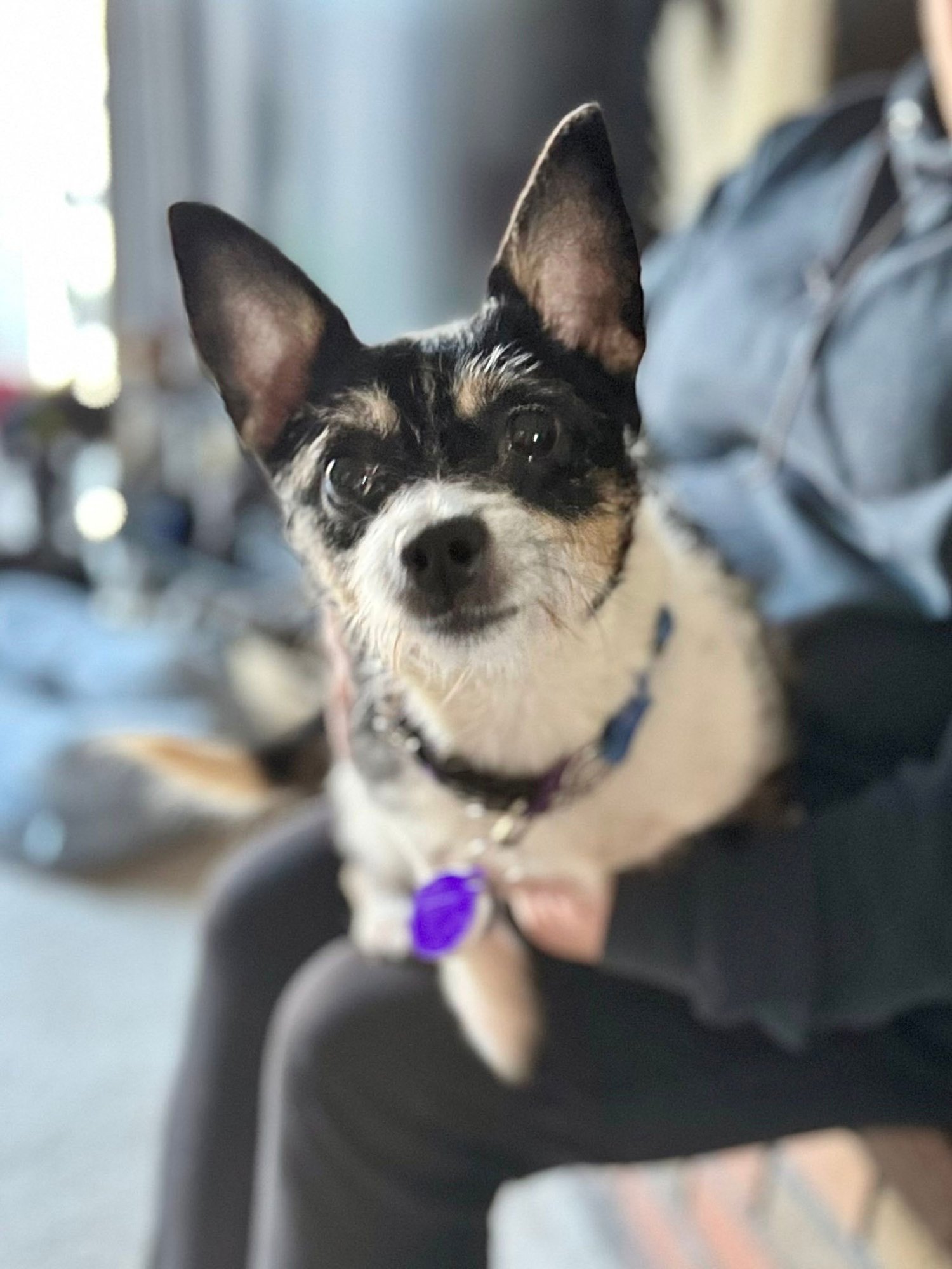 Nile Egypt - Photo 3