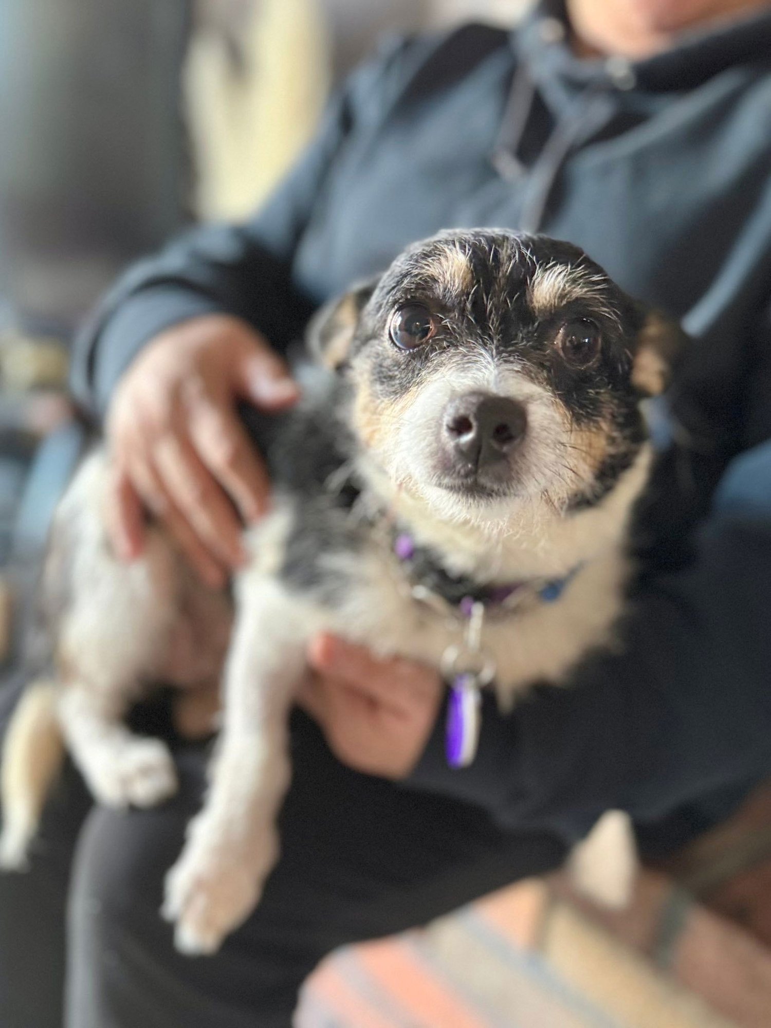 Nile Egypt - Photo 4