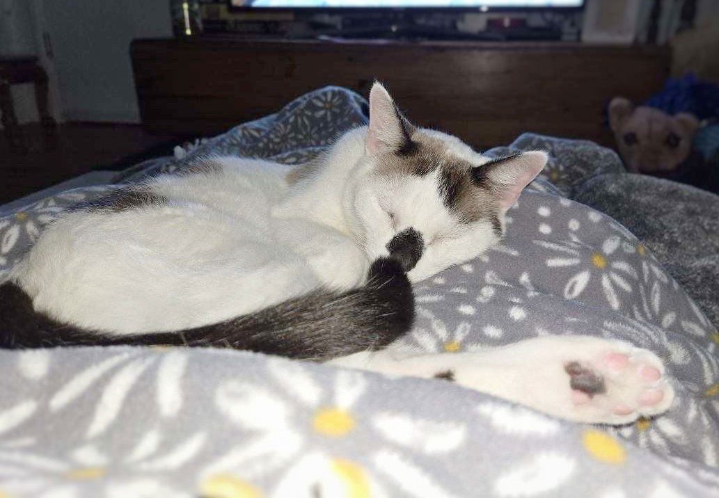 Ka Osiris Egypt - Photo 3