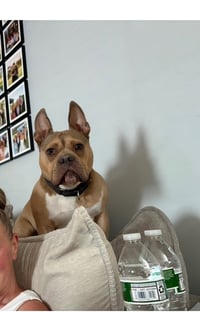 Deuce - Photo 4