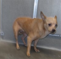 *CHIQUITA - Photo 1