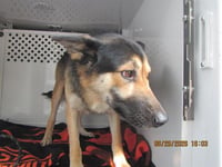 *WAYLON - Photo 1