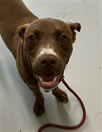 GRANT - Photo 1