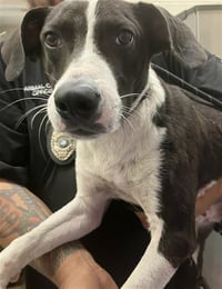 TUX - Photo 1