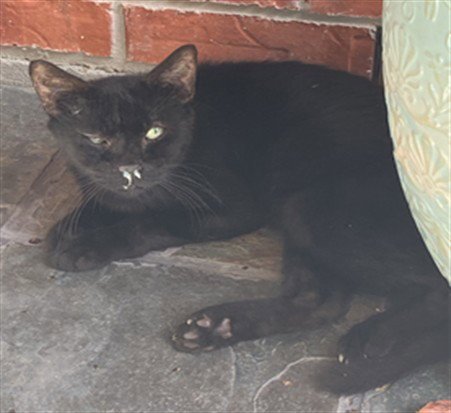 CATRICK SWAYZE Image