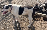 Ethel - Photo 1