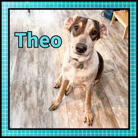 Theo GDP - Photo 3