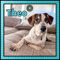 Theo GDP - Photo 1