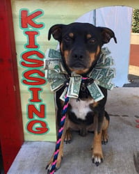 Roscoe - Photo 2
