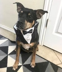 Roscoe - Photo 3