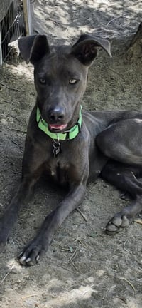 Cinder - Photo 2
