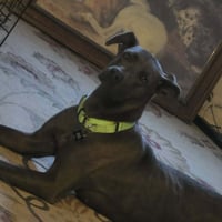 Cinder - Photo 4