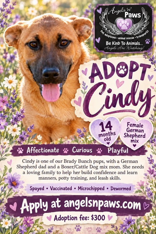 Cindy Image