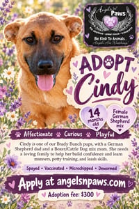 Cindy - Photo 1