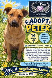 Peter - Photo 1