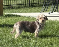Avery - Photo 2