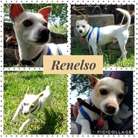 Renelso - Photo 2