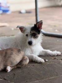 Tristina - Photo 1