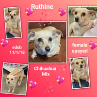 Ruthine - Photo 2