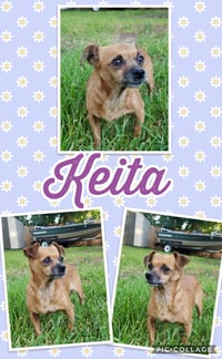 Keita - Photo 4