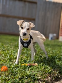 Findley - Photo 3