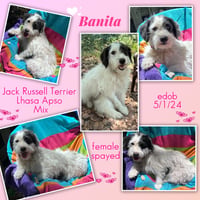 Banita - Photo 1