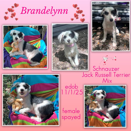 BRANDELYNN