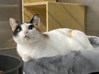 Minky - Photo 3