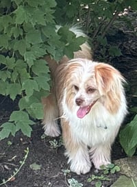 Penelope - Fairfield - Photo 3