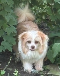 Penelope - Fairfield - Photo 6