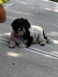 Nora-Tuscarawas - Photo 4