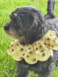 Sloane-OS - Photo 3