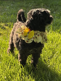 Sloane-OS - Photo 5