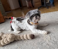 Solene-ARR - Photo 3