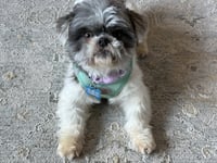 Solene-ARR - Photo 5