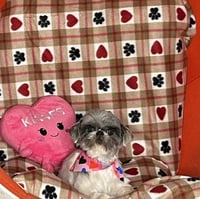 Solene-ARR - Photo 6