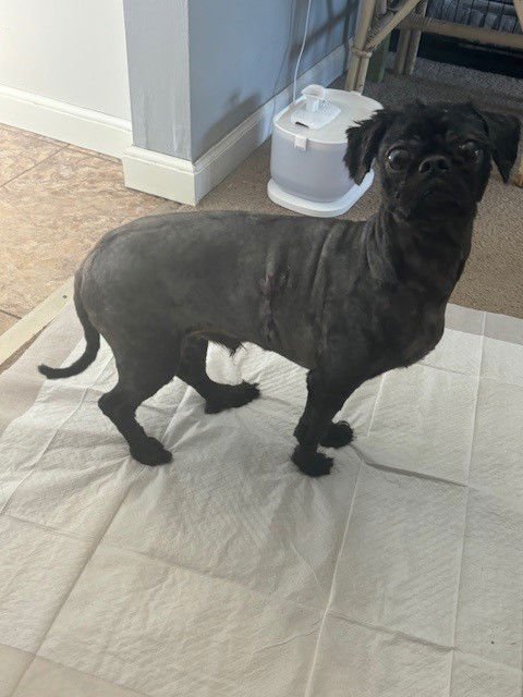 Buttons - OS - Photo 3