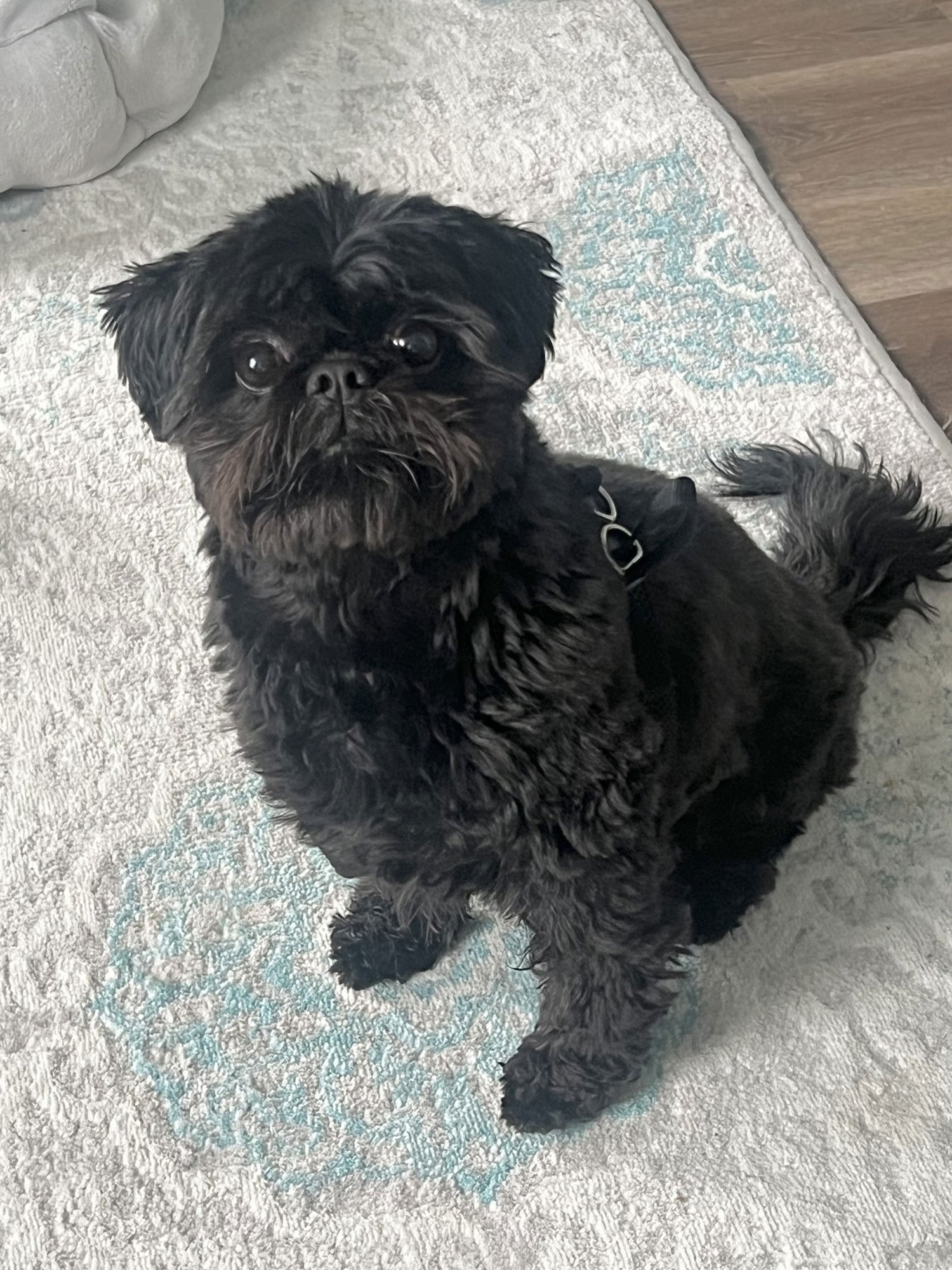 Buttons - OS - Photo 5