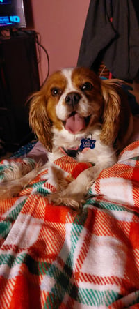 Brynn-ARR - Photo 4