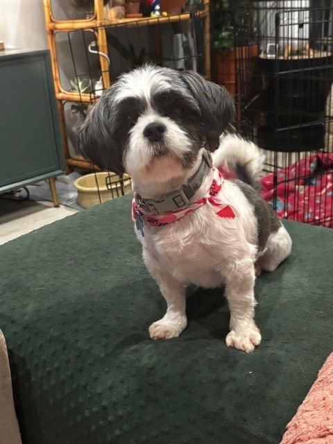 Bijou - ARR - Photo 4