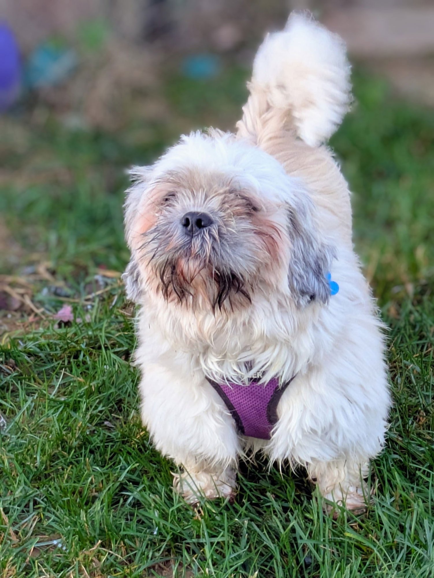 Clarabelle-ARR - Photo 3