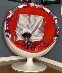 Z Litter puppies - Photo 4