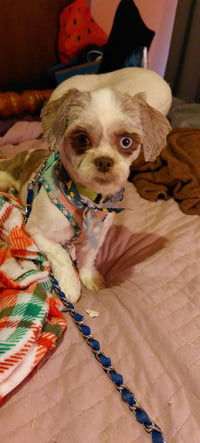 Mabel-ARR - Photo 4