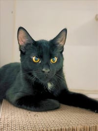 ZUKO - Photo 1
