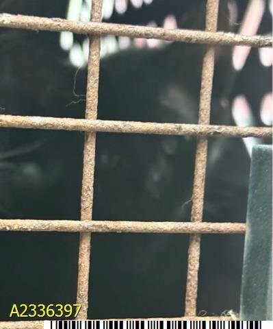 BINX Image