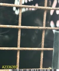 BINX - Photo 1