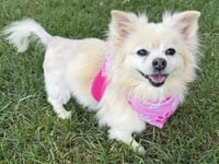 Lilly - Photo 5