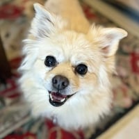Lilly - Photo 7